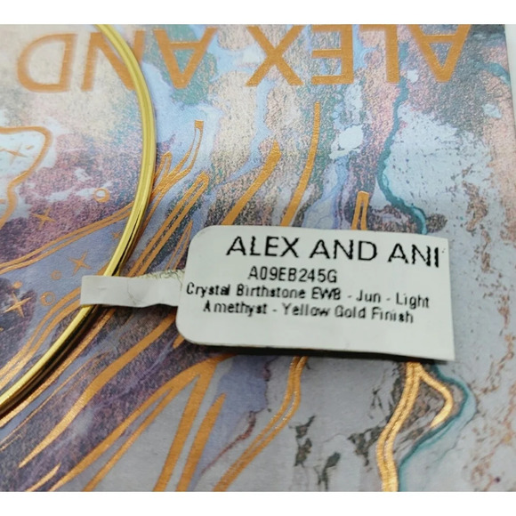 Alex And Ani June Birthstone Bracelet New In Box - Picture 8 of 9